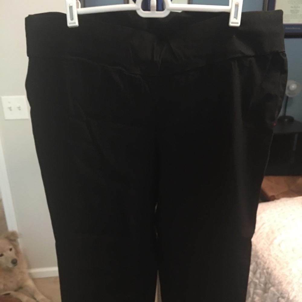 Dress pants